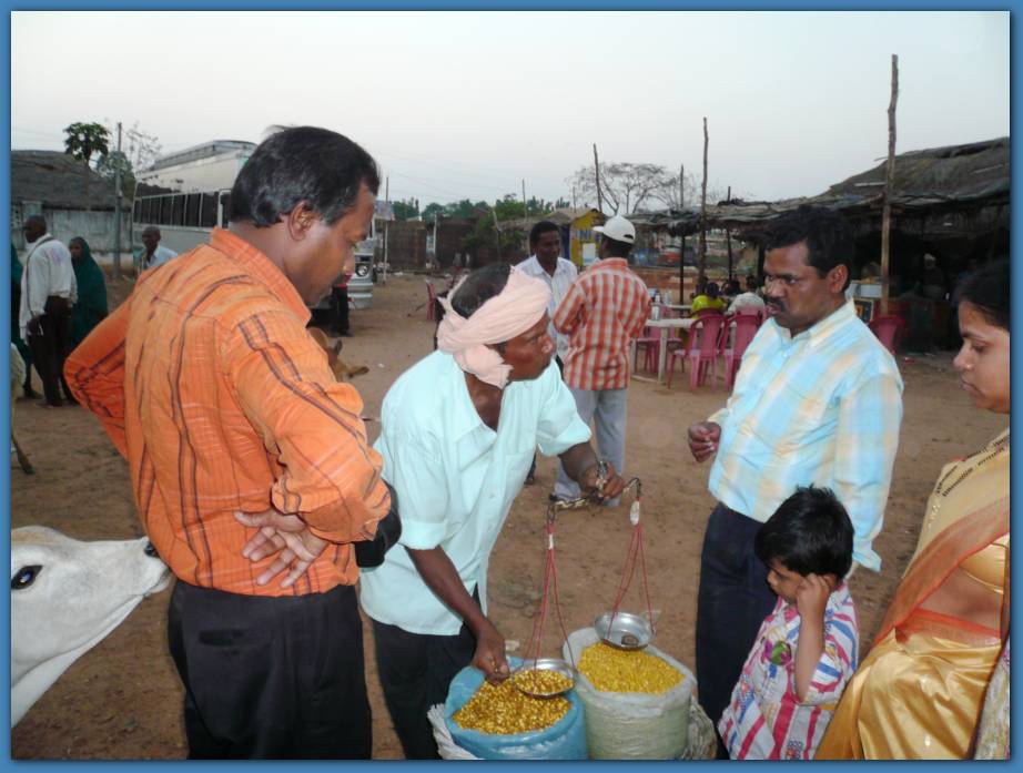 900x674 pixels (78K)